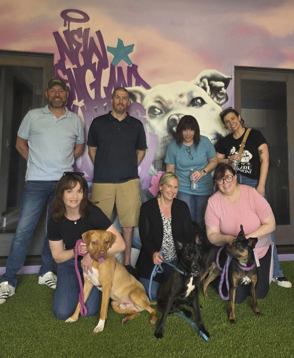https://assets.envisionsuccess.net/images/gallery/homelessdogs-8.jpg
