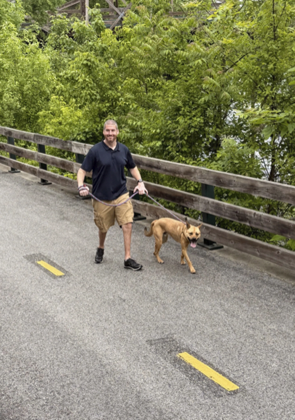 https://assets.envisionsuccess.net/images/gallery/homelessdogs-7.jpg