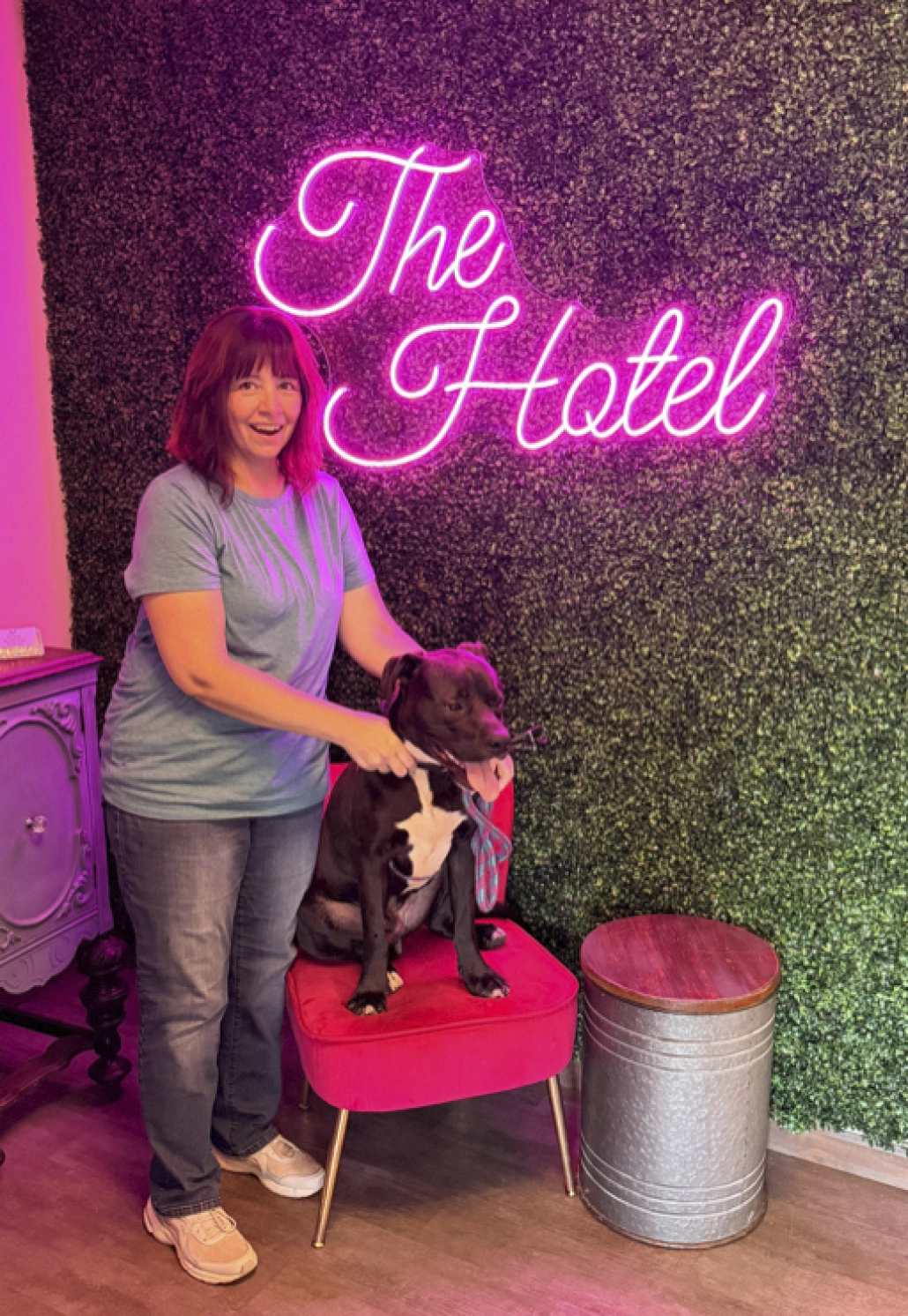 https://assets.envisionsuccess.net/images/gallery/homelessdogs-5.jpg