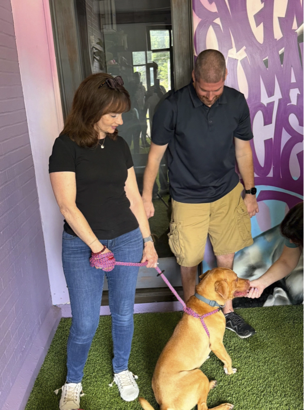 https://assets.envisionsuccess.net/images/gallery/homelessdogs-4.jpg