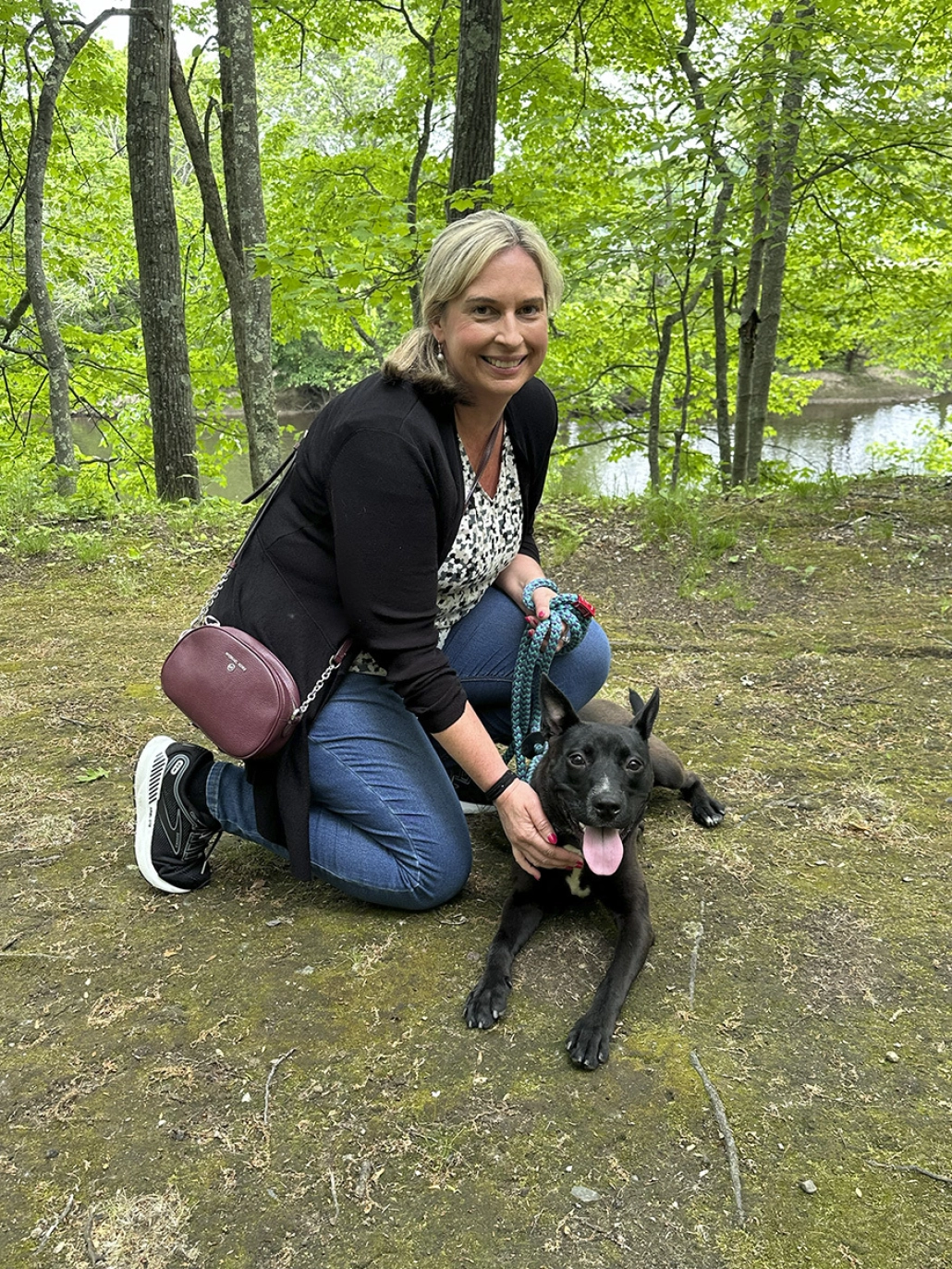 https://assets.envisionsuccess.net/images/gallery/homelessdogs-2.jpg
