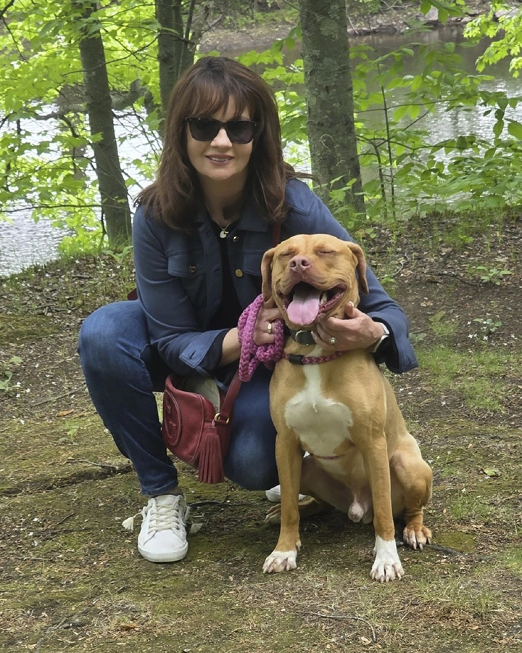 https://assets.envisionsuccess.net/images/gallery/homelessdogs-1.jpg